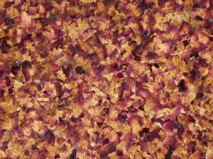 ROSE PETALS