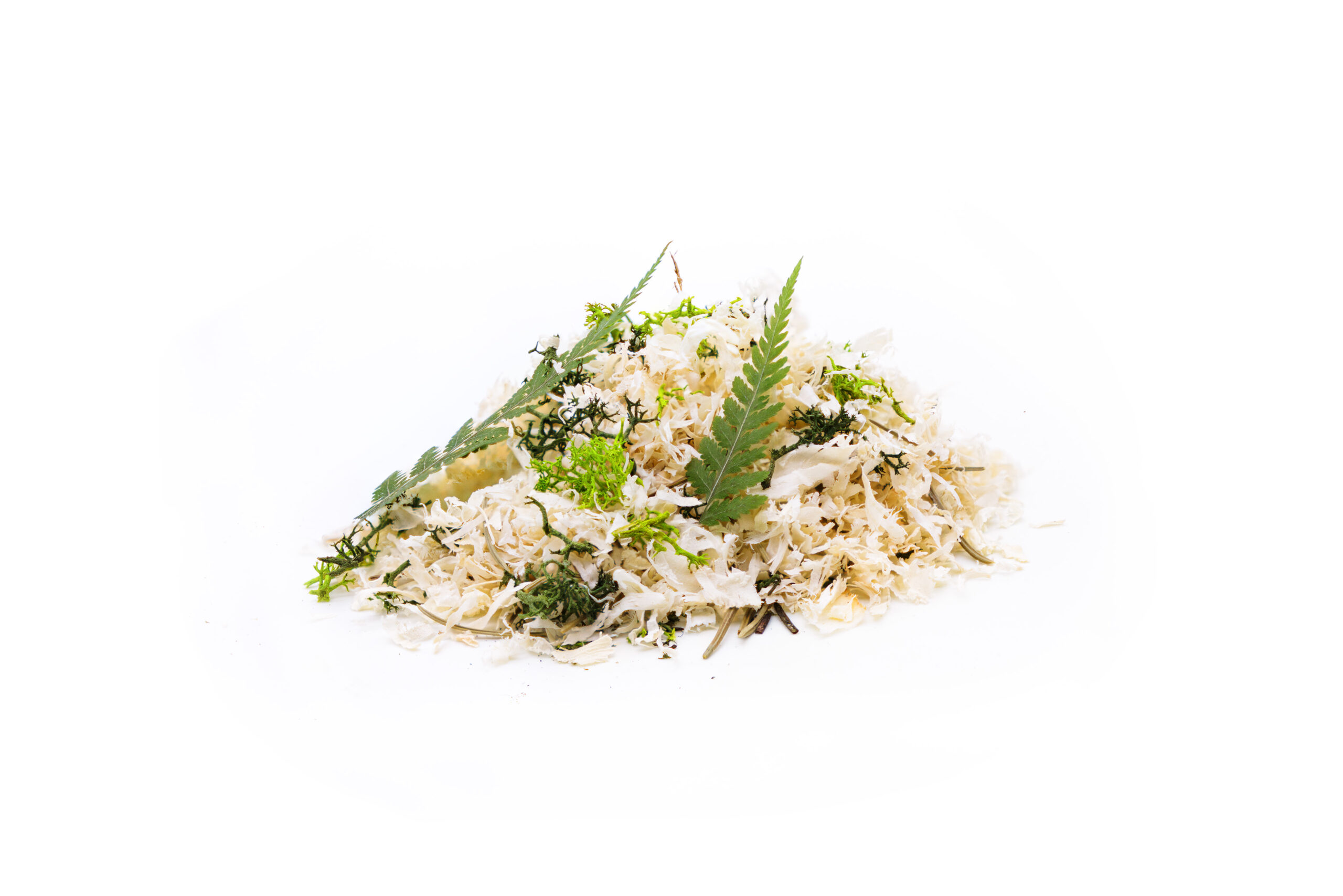 stone-pine-moss-and-lichen